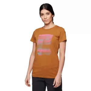 Big Wall SS Tee W