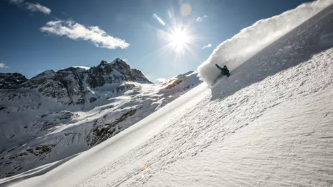 GoVertical-Snowboard