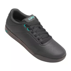Latch Shoe