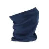 French Navy