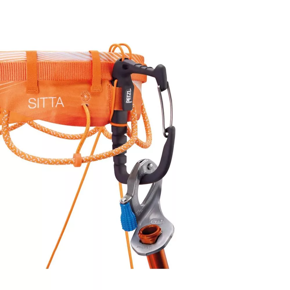 Sitta – Bild 2