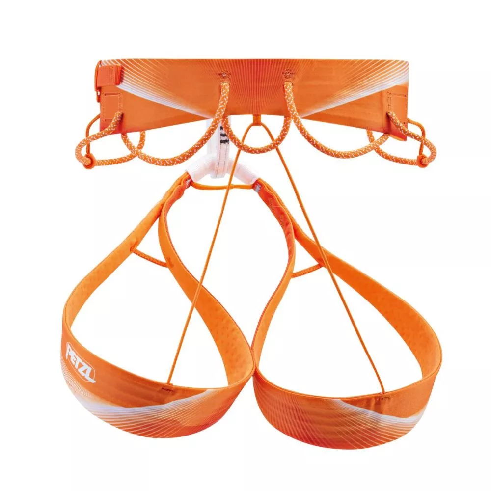 Sitta – Bild 3