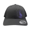 Darkgrey/Purple