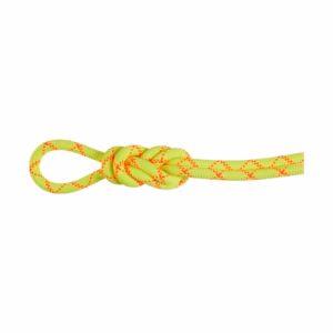 9.5 Alpine Core Protect Dry Rope