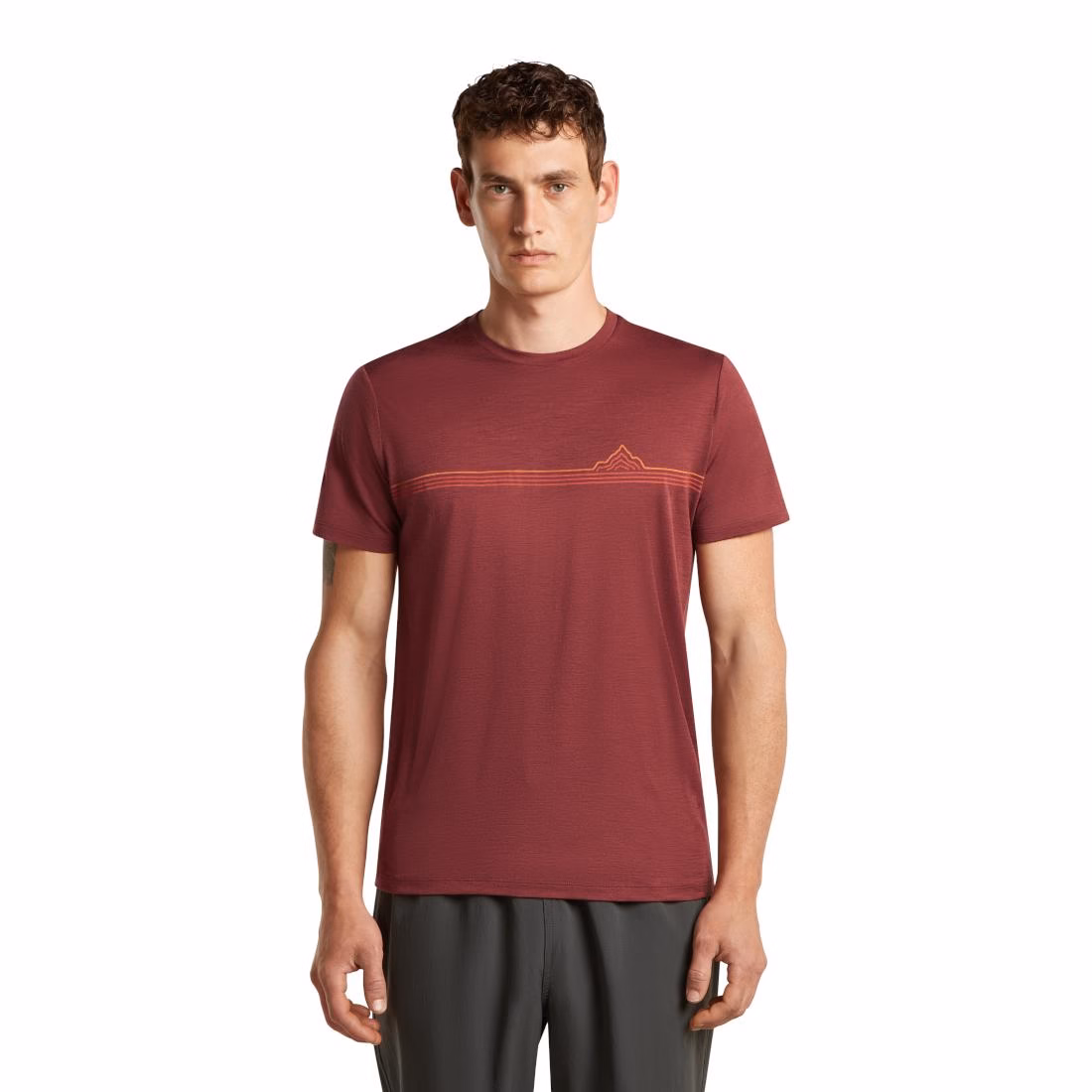 Men Merino 150 Tech Lite SS Tee Range Stripes – Bild 2
